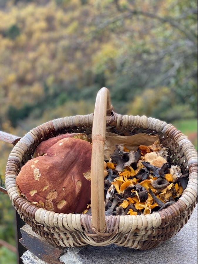 Domaine Le Verdier Saint-Michel-de-Dèze Εξωτερικό φωτογραφία